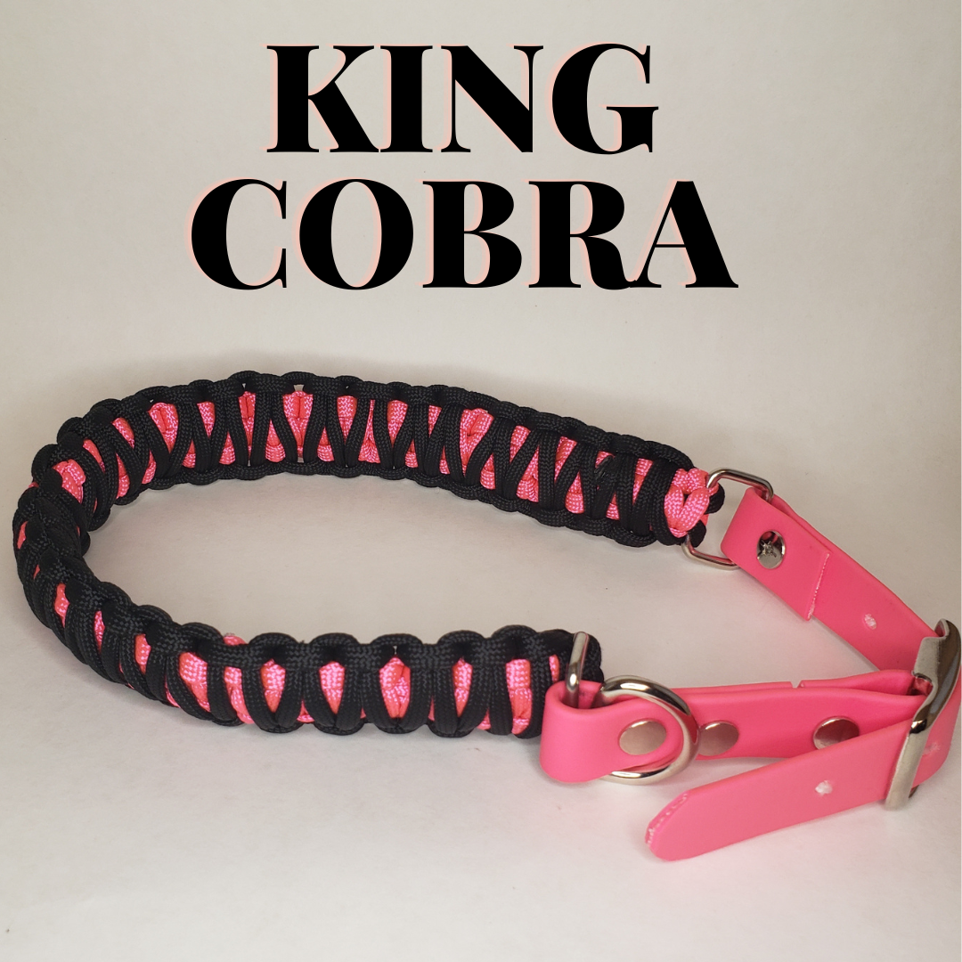 Custom Paracord Dog Collar Pets With Paws