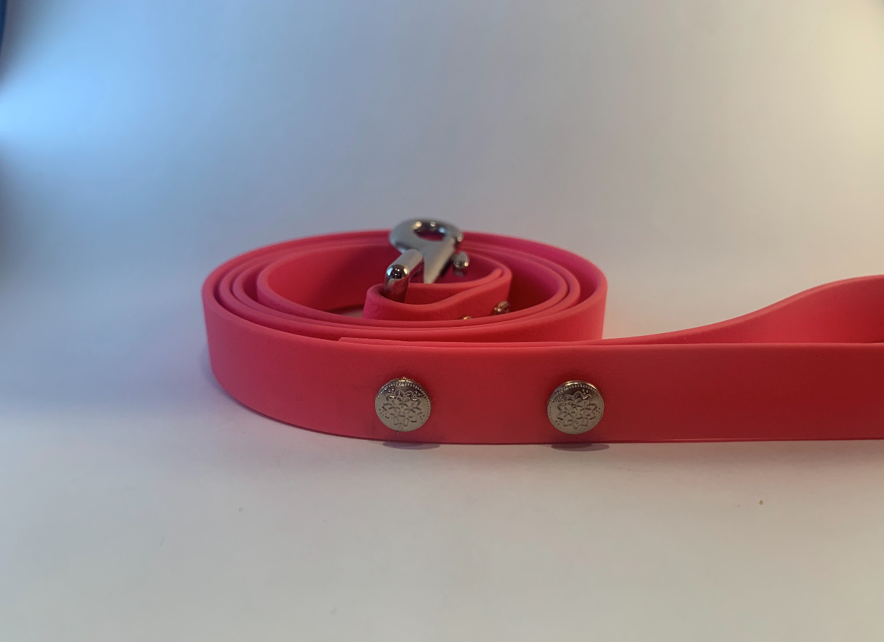 Custom Biothane Dog Leash Pets With Paws